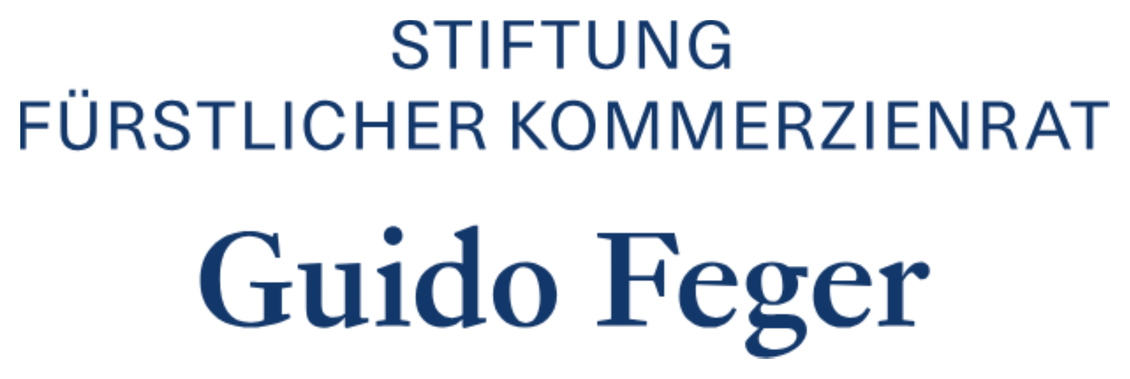 Stiftung Fürstlicher Kommerzienrat Guido Feger